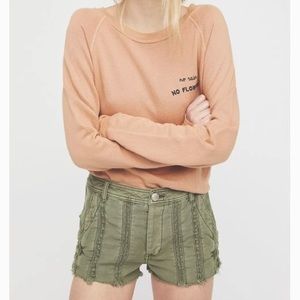 Free People Great Expectations Lacey Shorts
